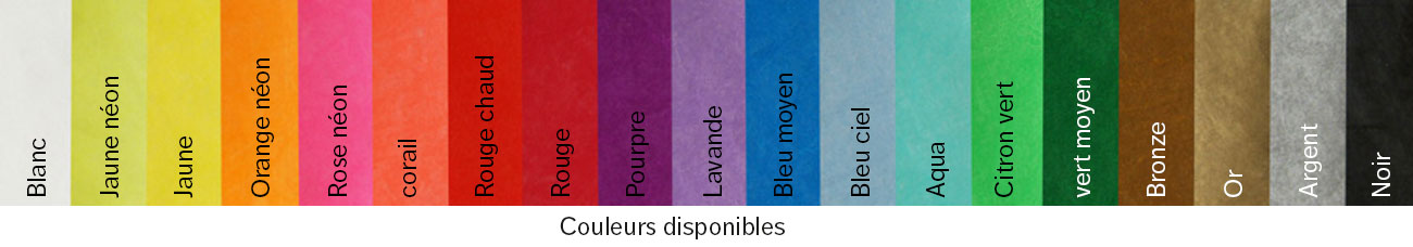 Couleurs disponibles pour les bracelets TYVEK